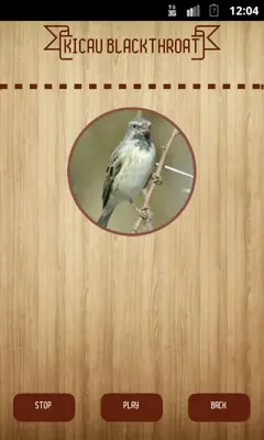 Kicau Blackthroat android App screenshot 0